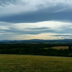 Meet your Posher, Joni